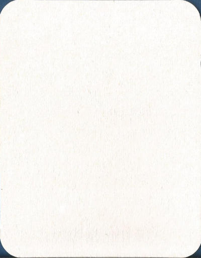 Duvel Beer Mat 6 Back