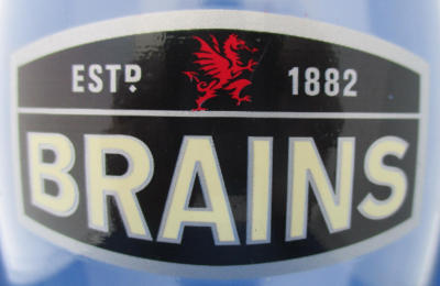 Old Brains Logo