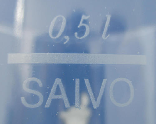 1 Saivo